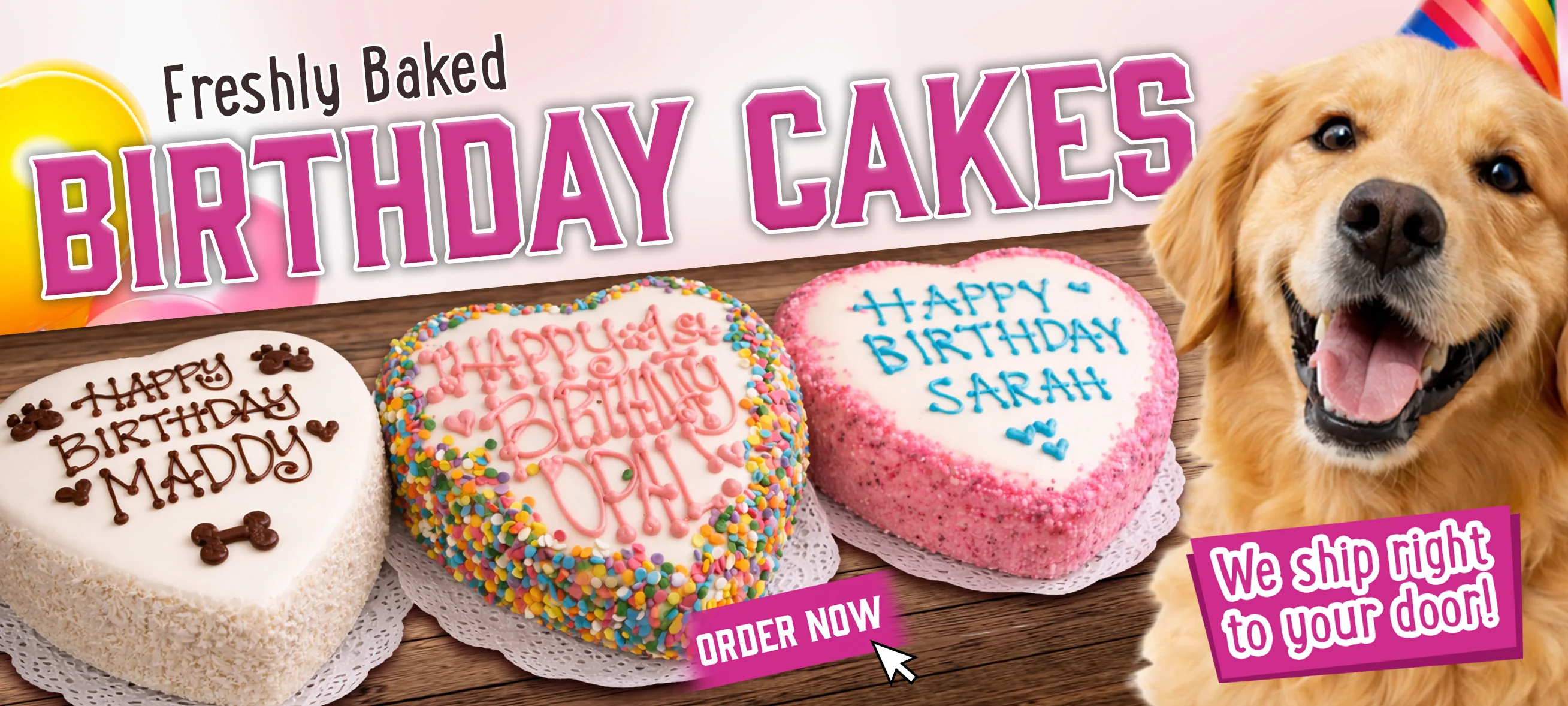 Freshly Baked Treats for Paws