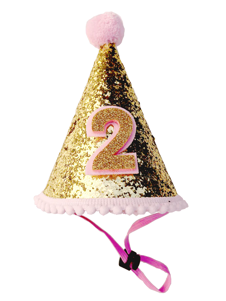 Birthday Party Hat For Dogs - Image 4