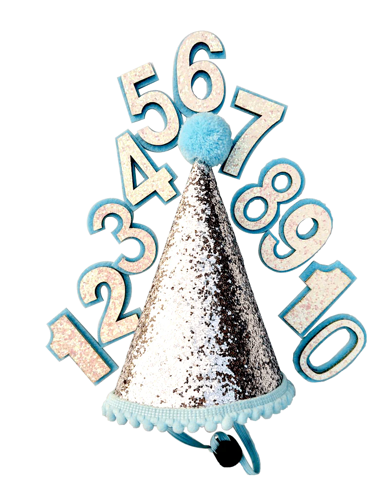 Birthday Party Hat For Dogs - Image 5