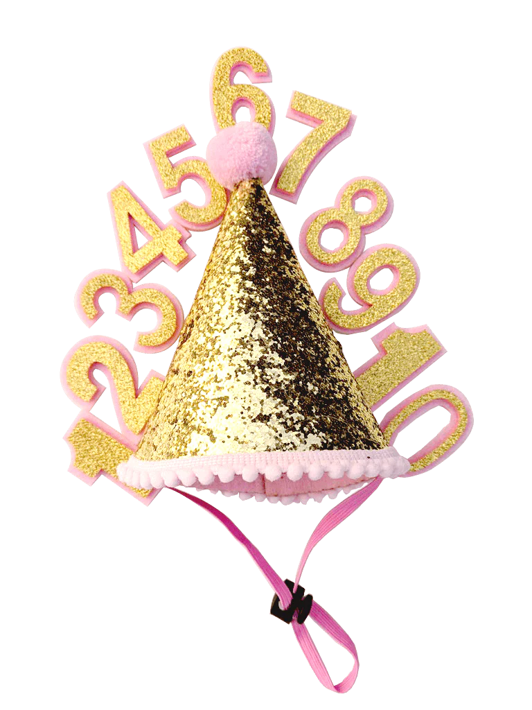 Birthday Party Hat For Dogs - Image 6
