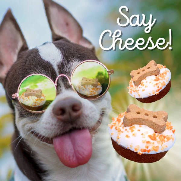 Cheesy Yummies - Image 4